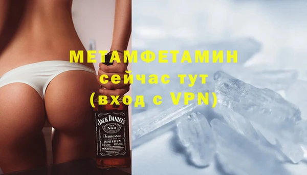 гидра Алексин