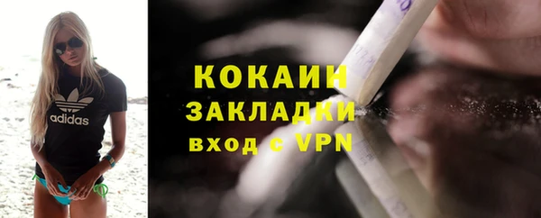 гидра Алексин