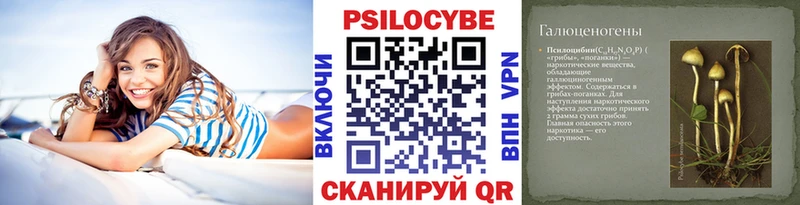 Псилоцибиновые грибы MAGIC MUSHROOMS  где продают   Грязи 